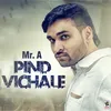 About Pind Vichale Song