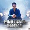 About Pind Diyan Galiyan Song