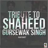 About Tribute To Shaheed Gursewak Singh Song