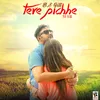 About Tere Pichhe Song