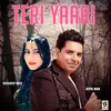 About Teri Yaari Song