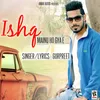 About Ishq Mainu Ho Gya E Song