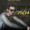 About Zinda Song