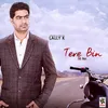 About Tere Bin Song