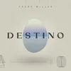 About Destino Song