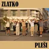 About Pleši Song