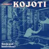 Sve Je Pod Kontrolom (feat. Kandžija)