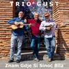 About Znam gdje si sinoć bila Song