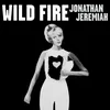 About Wild Fire Song