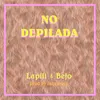 About No Depilada Song