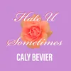 About Hate U Sometimes Song