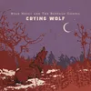About Crying Wolf Song