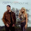 About Can't Do Without Me Song