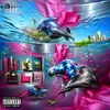 About Dolphin Cum Song