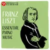 About Piano Sonata in B Minor, S. 178: II. Grandioso Song