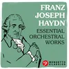 Symphony No. 45 in F-Sharp Minor, Hob. I: No. 45 "Farewell": IV. Finale. Presto - Adagio