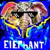 About Elephant Song