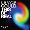 Could This Be Real (Sub Focus DnB Remix)