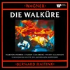 About Wagner: Die Walküre, Act 2, Scene 2: "Ein andres ist's" (Wotan) Song