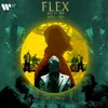 About Flex Song