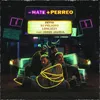 About - Hate + Perreo (feat. Jordi Jauria) Song