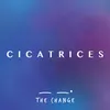 About Cicatrices Song