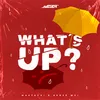 About What's Up Song