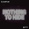 About Nothing To Hide Song