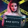 About Bad Kitty Song