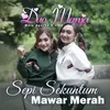 About Sepi Sekuntum Mawar Merah Song