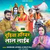 About Chudiya Hariyar Lal Laib Song