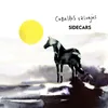 About Caballos salvajes Song