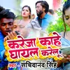 About Karela Kahe Ghayal Karelu Song