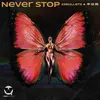 About Never Stop Song