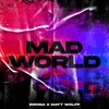 About Mad World Song