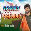 About Sorry Nandi Baba Song
