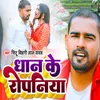 About Dhan Ke Ropaniya Song