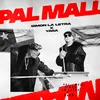 About Pal Mall Song