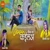 About Jaan Thik Na Kaila Song