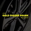 About Gold Digger Prank Song