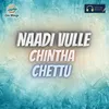 About Naadi Vulle Chintha Chettu Song