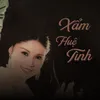 About Xẩm Huệ Tình Song