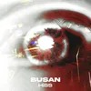 About Busan Song