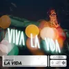 About La Vida Song