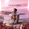 About Your Number Song