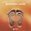 About Summer Jams Song