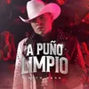 About A Puño Limpio Song