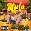 About MULA Song