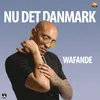 About Nu Det Danmark Song