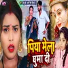 About Piya Mela Ghuma Di Song